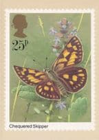 Chequered Skipper Butterfly Royal Mail Stamp Limited Postcard