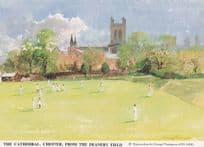 Chester Cricket Ground From Deanery Field Painting Postcard