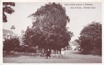 Child & Bicycle At Sea View Road Beltinge Herne May Old Postcard