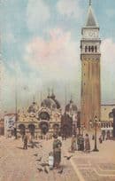 Child Feeding Birds Chiesa Di Marco Campanile Venezia