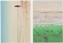 Child Penguin Lost On Deserted Beach 2x German Postcard s