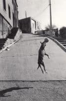 Chile Mexican Dog With Football IN MID AIR FLIGHT Photo Winner Dogs Postcard