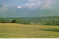 Chilham Kent Fields Summer Day Postcard