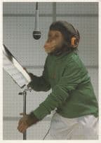 Chimpanzee As Pop Singer With Sheet Music Comic Postcard