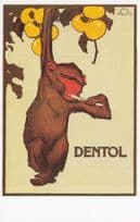 Chimpanzee Monkey Cleaning His Teeth Dentol Toothpaste Advertising Postcard