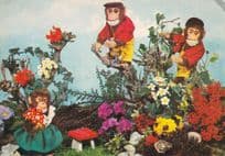 Chimpanzees Monkeys Gardening 1960s Postcard