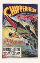 Chipperfields Circus Crocodile Lady Tamer Newcastle Poster Postcard