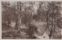 Chislehurst Common Vintage Postcard
