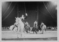 Christel Sembach Krene German Circus Munchen Horse Performer 1970s Postcard