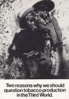 Cigarette Tobacco Production In The Third World Shocking Real Photo Postcard