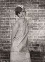 Cilla Black Work Is A Four Letter Word Pre Film Release 1967 Press Photo