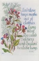 Clothes Moths Wort Soldiers Sailors Romany Military Remedy Songcard Postcard