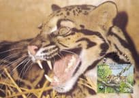 Clouded Leopard Malaysia WWF Stamp First Day Cover Postcard