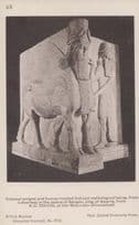 Colossal Winged Beast Sargon Palace King Of Assyria Mythological Old Postcard
