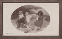 Come Along Dog Tug Of War Antique WW1 Real Photo Postcard