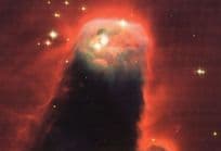 Cone Nebula Monoceros Constellation Space Unicorn Dutch Cartographer Postcard