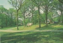 Coniston Cumbria Caravan Site Camping Park 1980s Postcard