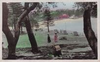 Coogie Through The Trees Australia Real Photo Old Postcard