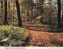 Cookham Forest Quarry Woods Berkshire Women's Institute Postcard