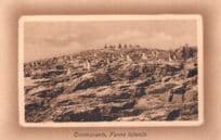 Cormorants Farne Islands Old Postcard