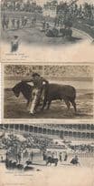 Corrida De Toros Bull Fight 3x Real Photo & Old Postcard s