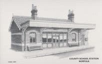 County School North Elmham Norfolk Village Railway Station 1970s Artist Postcard