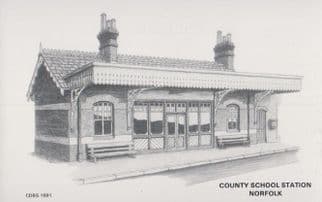 County School North Elmham Norfolk Village Railway Station 1970s Artist Postcard