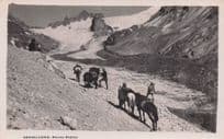 Cowboy Horse & Riders At Cordillera Nieves Negras San Jose Chile Old postcard