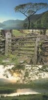Crummock Water Maple Tree Elterwater Gate 3x Award Cumbria Postcard s