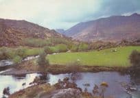 Cummeenduff River County Kerry Irish Postcard