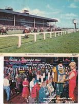 Curragh Races Co Kildare Ireland 2x Gambling Postcard s