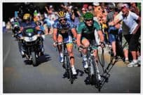 Cyril Gautier French Cyclist Europcar 12x8 Large Hand Signed Photo