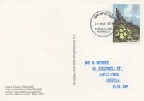 Daffodils Kings Lynn Norfolk Royal Mail FDC Postcard