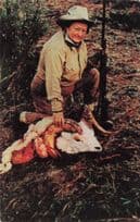 Dall Sheep Animal Hunting Breezewood Blood Sports PA USA Postcard