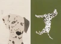 Dalmation Dog 2x Dogs Painting Postcard s