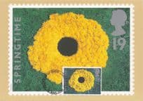Dandelion Flowers Amazing Photo Art First Day Cover Postcard