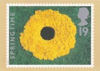 Dandelions Like A Polo Mint Amazing Royal Mail Flowers Stamp Postcard