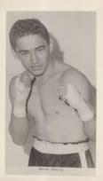 Daniel Berrios Puerto Rican Rico Boxer Old Publicity Photo