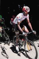 Daniel Girmazion Eritrea Cyclist 2015 Tour De France 12x8 Hand Signed Photo