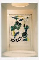 Daniel Weil of Lego Floating Swimming Wireless Radio Exhibition Postcard