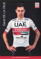 David De La Cruz Spanish Spain UEA Arab Emirates Cyclist Team Postcard