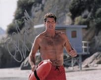 David Hasselhoff in Baywatch Knightrider Large 10x8 Hand Signed Photo