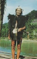 Dayak Chief Malaysia Animal Skin Dress Warrior Vintage Postcard