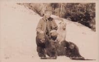 Dead Grizzly Bear Morning Sport Animal Hunting Old Canada Real Photo Postcard