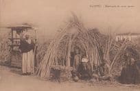 Dealers Sugar Cane Markets Marchands De Canne Sucree Egyptian Antique Postcard
