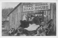 Dear Horse Road House Alaska USA Animal Hunting Postcard