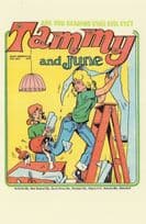 Decorating Disaster Foot In Paint Bucket Tammy Girls Comic Postcard