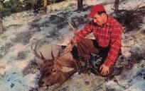 Deer Hunter at Vermont USA Vintage Animal Hunting Postcard