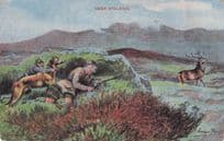 Deer Stalking Animal Hunting Antique London Postcard