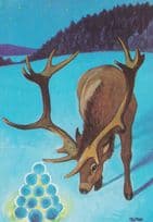 Deer With Christmas Snooker Balls Glowing Postcard